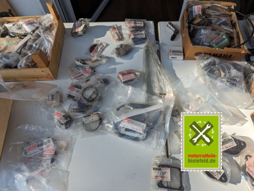 PXL_20240528_155731107